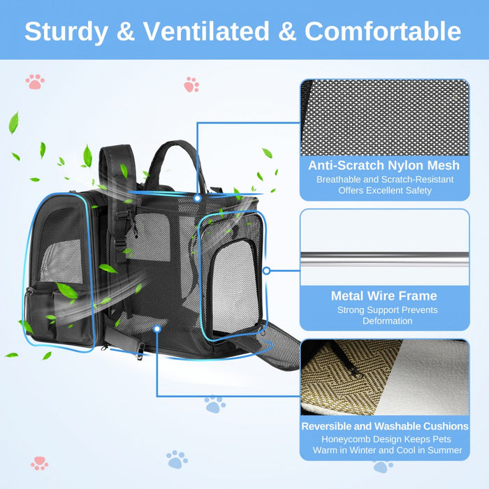 Expandable and Foldable Pet Backpack Carrier with Ventilated Mesh Windows – PTD2641 – Black